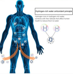 HydroSmart Hydrogen Water Infuser